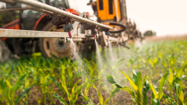 Pest Prevention Services in Snead, AL